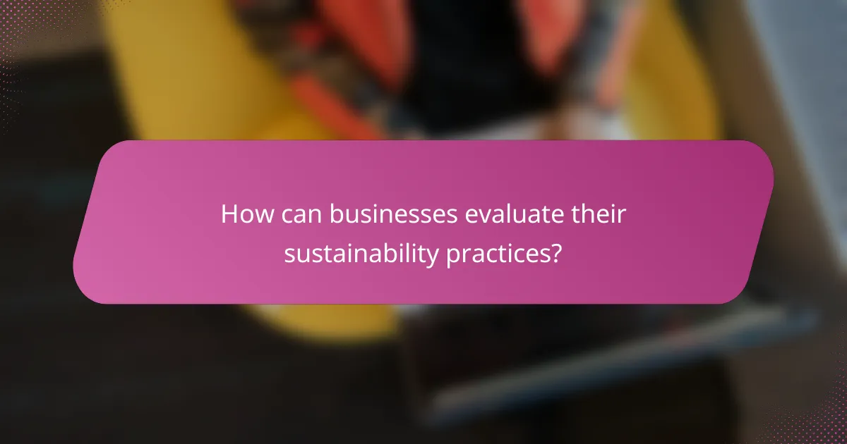 How can businesses evaluate their sustainability practices?